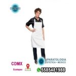 Delantal de poliéster impermeable y...