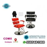 Silla de estilo contemporáneo